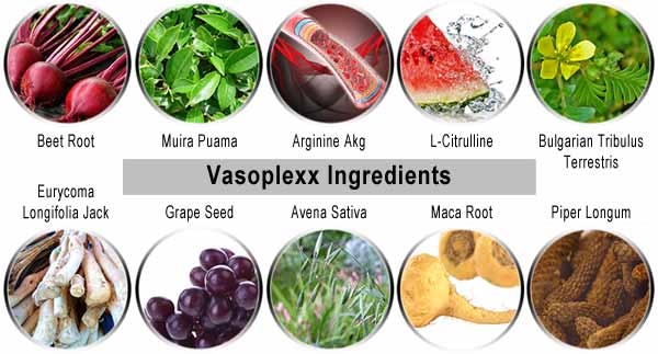 Vasoplexx Ingredients