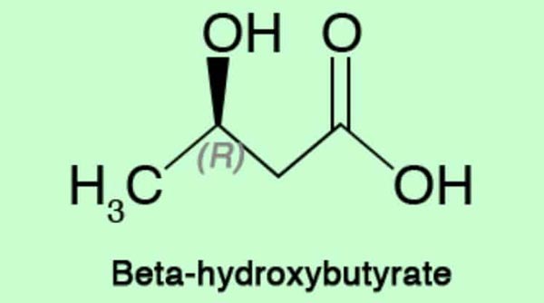 Beta-Hydroxybutyrate